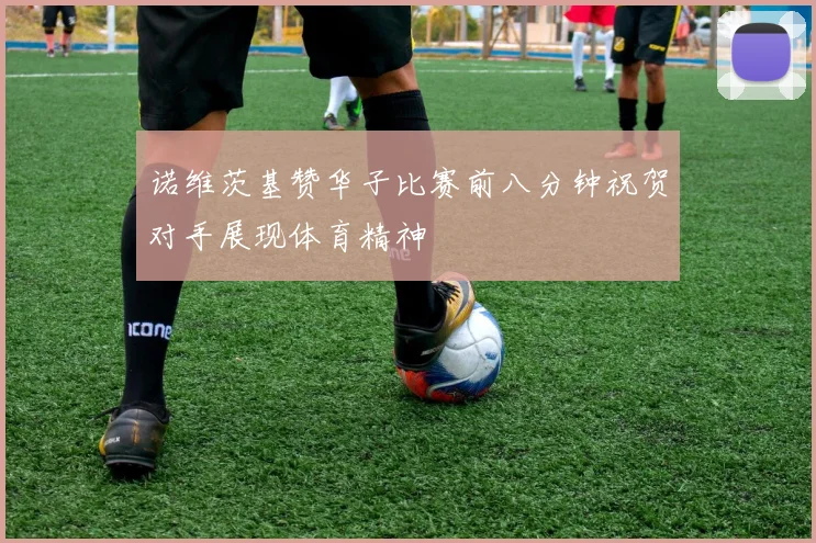 诺维茨基赞华子比赛前八分钟祝贺对手展现体育精神